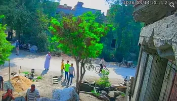 المشاجرة 