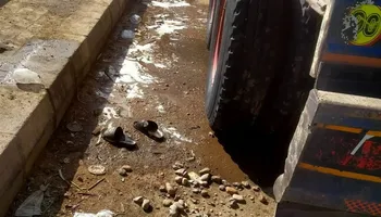 المنوفية 