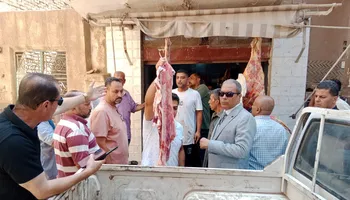 المنوفية 