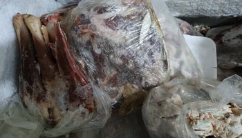المنوفية 