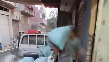 المنوفية 