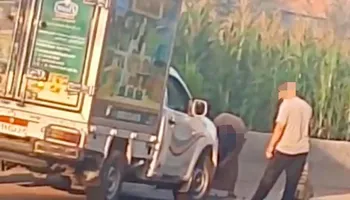 المنوفية 