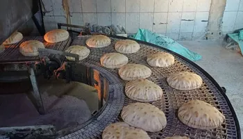 جانب من الحملة 