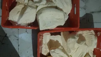 جانب من الضبطيات