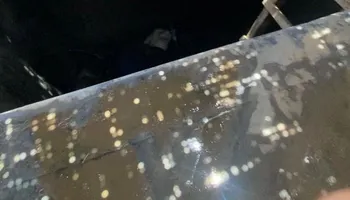 جانب من الواقعة 