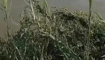 جانب من كسر خط الغاز أسفل ترعة الإسماعيلية 