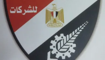 خلية نحل تنظيمية ورسالة وفاء لـ "غندر".. اللجان النوعية ترسم لوحة نجاح أولمبياد الشركات ببورسعيد