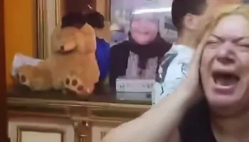 سيدة السيدة زينب