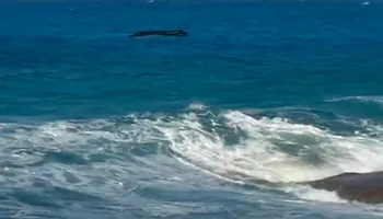 قارب هجرة غير شرعية 