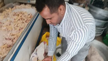 صحة القليوبية