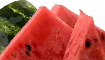 بطيخ