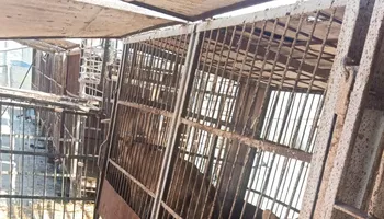 مطروح 