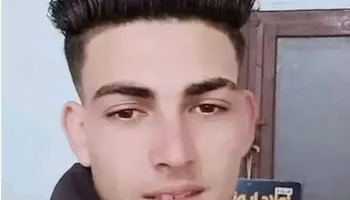 هاني إبراهيم محمد 