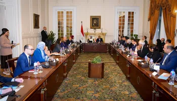 وزير الخارجية مع ممثلى القطاع الخاص
