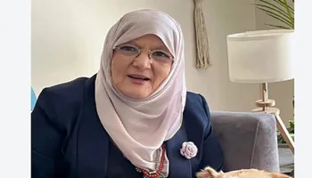 شمس البارودي