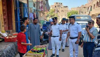 الفاعلية 