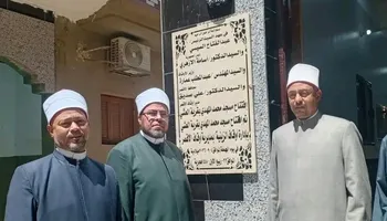 الفاعلية