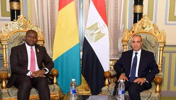وزير الخارجية يلتقي وزير التعاون الدولي والتخطيط بغينيا