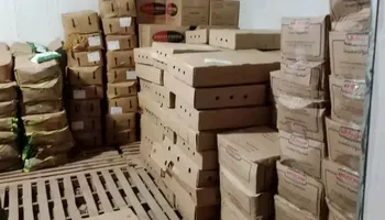 المضبوطات 