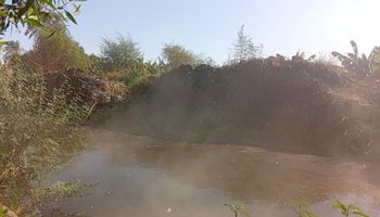 جانب من الترعة 