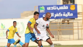 المنصورة و مالية كفر الزيات 