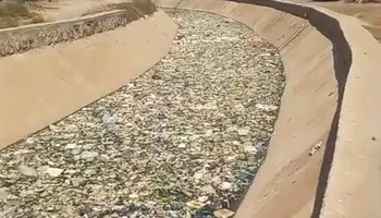 جانب من الترعه 