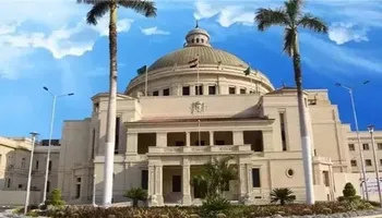 جامعة مصرية 