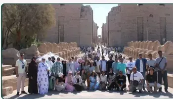 الفاعلية 