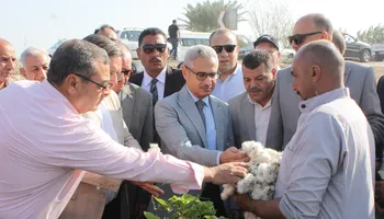 افتتاح موسم جنى القطن ببنى سويف 