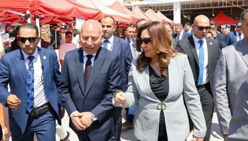 التنمية المحلية 