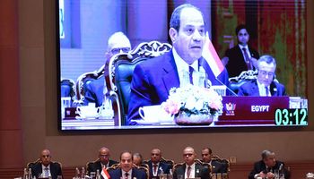 الرئيس السيسي في تجمع البريكس