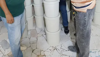 المضبوطات 