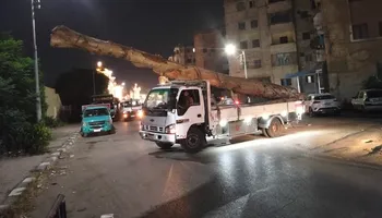 المضبوطات