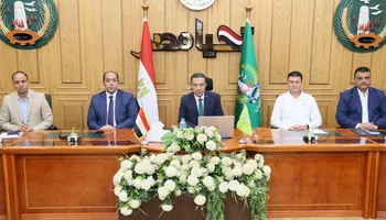 المنوفية 