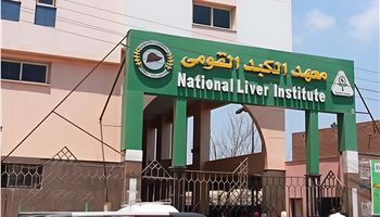 المنوفية 