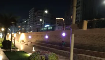 اليوم العالمي للزهايمر بالممشى ببنى سويف 