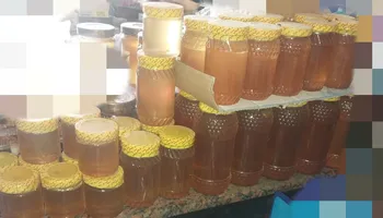 جانب من الحملات التموينية في الإسماعيلية   