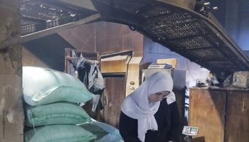 جانب من الحملة 