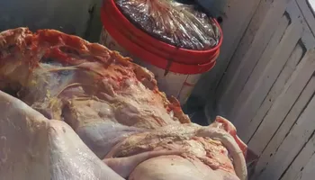 جانب من المضبوطات 