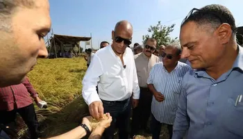 حصاد 11 ألف فدان أرز وتجهيز 5 مراكز لتجميع قش المحصول بدسوق