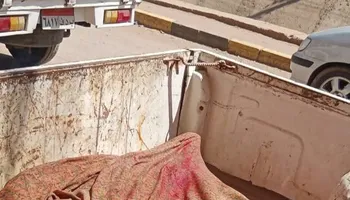 ضبط