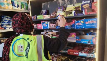 ضبط أغذية فاسدة بمحيط مدارس بورفؤاد.. حملات مكثفة لحماية الطلاب