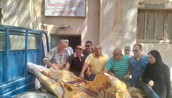  ذبيحة مصابة بمرض السٌل 
