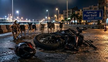 مأساة في بورسعيد.. مصرع شاب أثناء مطاردة كلاب الشوارع لدراجته النارية وتصاعد المطالبات بحل الأزمة