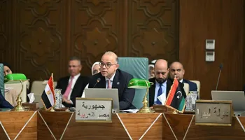 وزير الاستثمار