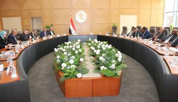وزير الكهرباء 