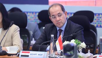 وزير المالية 