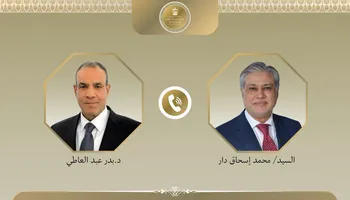 وزيرا خارجية مصر وباكستان