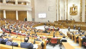 مجلس النواب المصري 