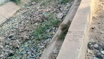 جانب من الترعه